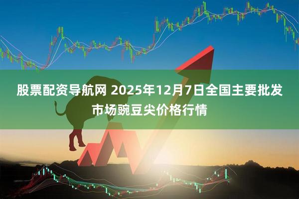 股票配资导航网 2025年12月7日全国主要批发市场豌豆尖价格行情